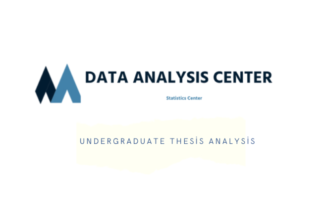 Undergraduate Thesis Analysis